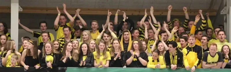 DVO/Accountor - Dalto/Klaverblad Verzekeringen