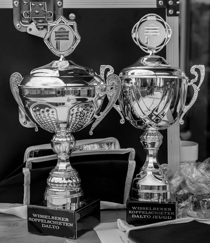 Dalto koppelschieten