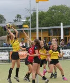 Databank trainer-coaches 7 20200912 Dalto3 AWDTV2 064 144x170 1 - Dalto/Klaverblad Verzekeringen - Korfbal - Driebergen