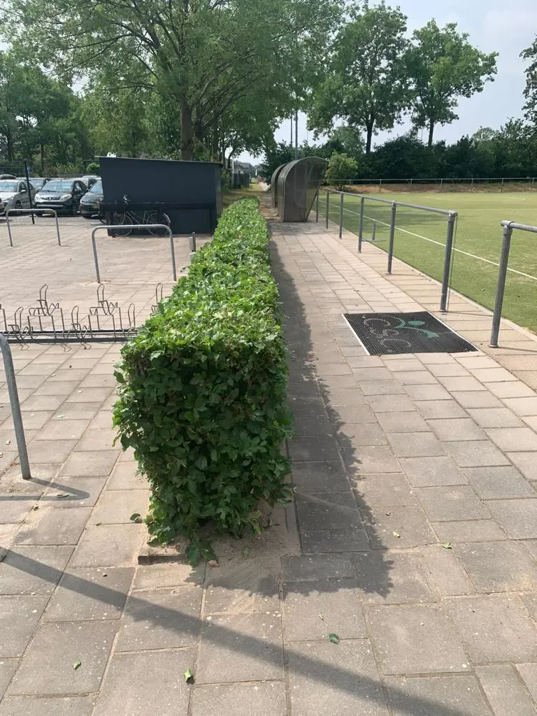 20230619 Dalto Tuinteam