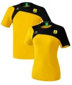 Clubshirts 1 Daltoshirts 2017 front 253x300 1 - Dalto/Klaverblad Verzekeringen - Korfbal - Driebergen