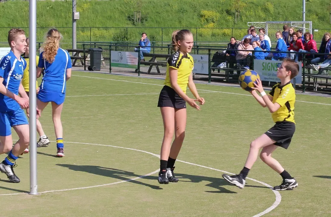 Dalto/BNApp.nl C1 - SKF C1