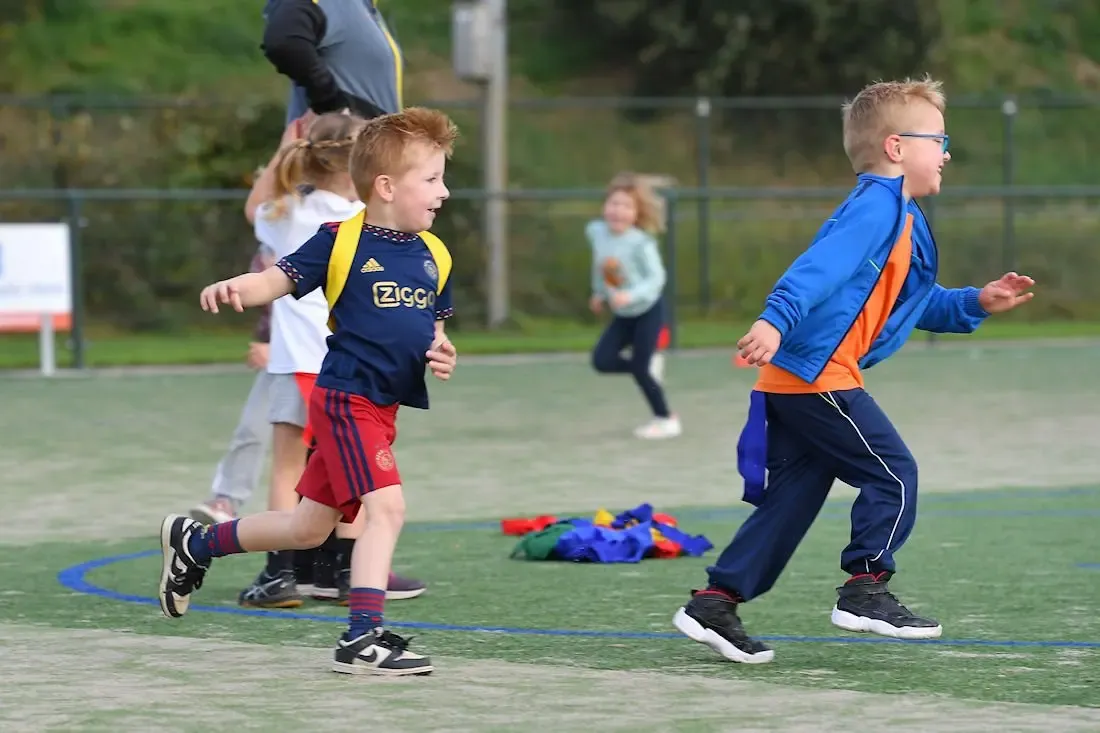 Dalto Kangoeroes 013