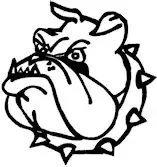 Dalto Bull small - Dalto/Klaverblad Verzekeringen - Korfbal - Driebergen