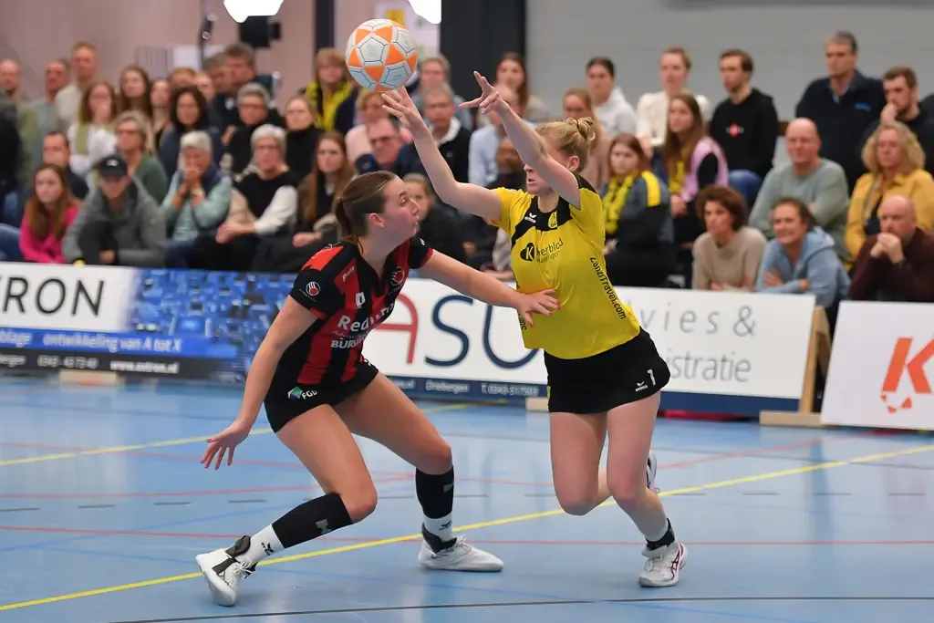 Dalto - Mid-Fryslân 015