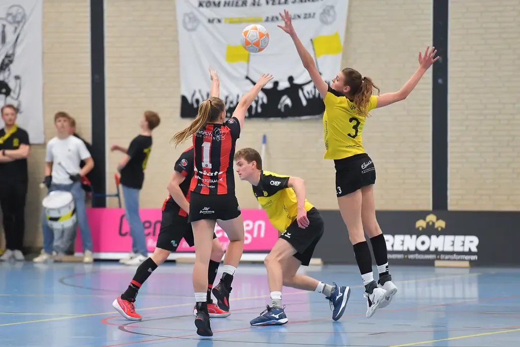 Dalto - Mid-Fryslân 004