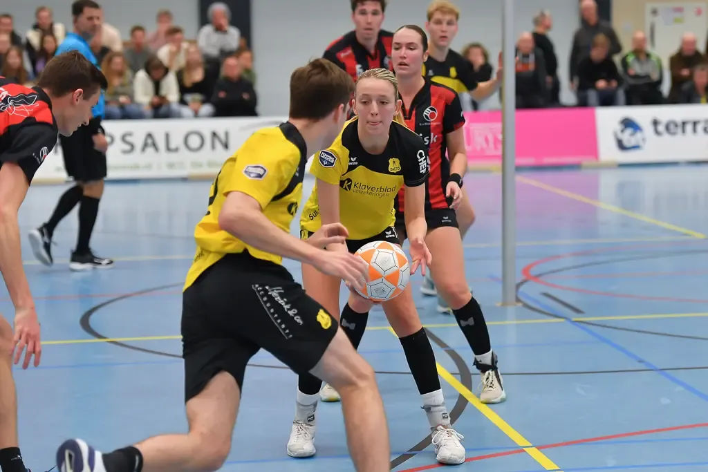 Dalto - Mid-Fryslân 005