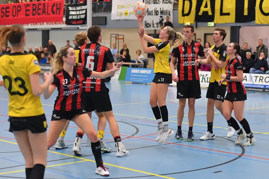 Dalto - Mid-Fryslân 008