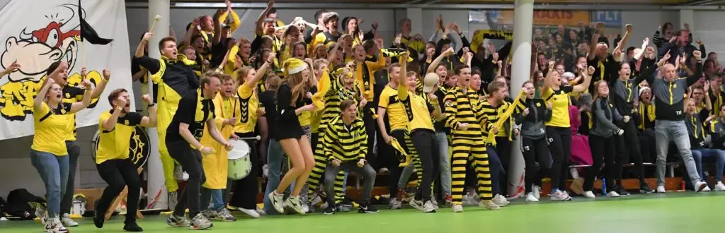 Dalto DSide 19 - Dalto/Klaverblad Verzekeringen - Korfbal - Driebergen