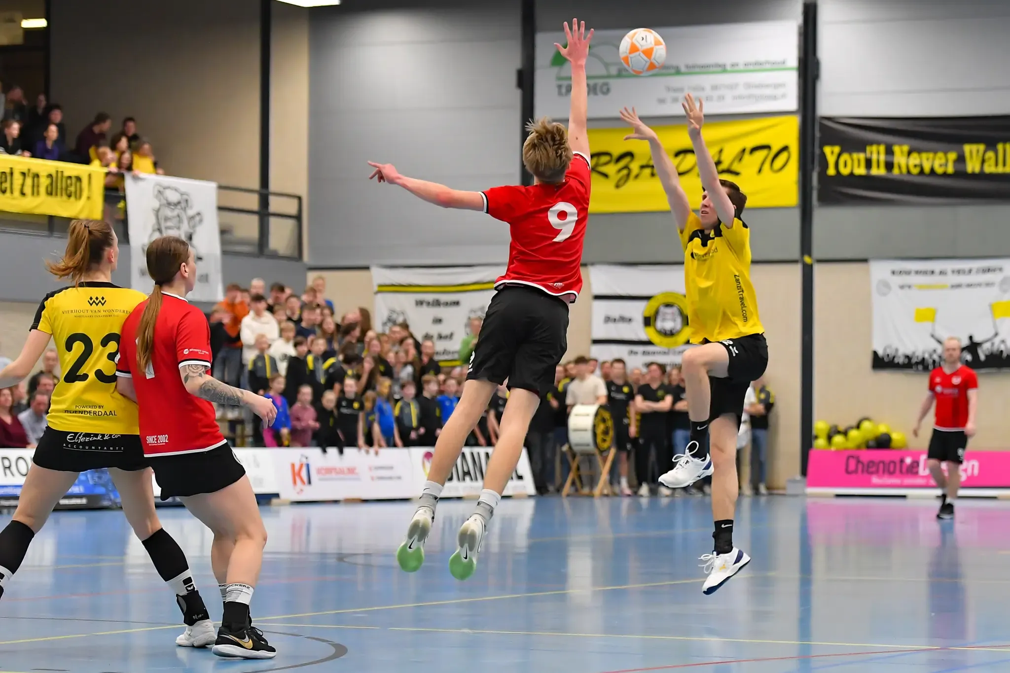 Dalto Dsc Website 13