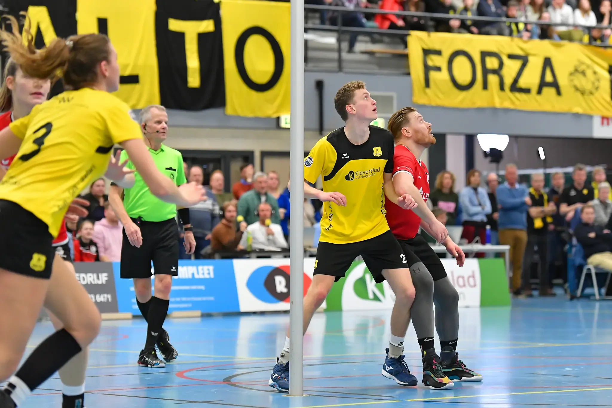 Dalto Dsc Website 16