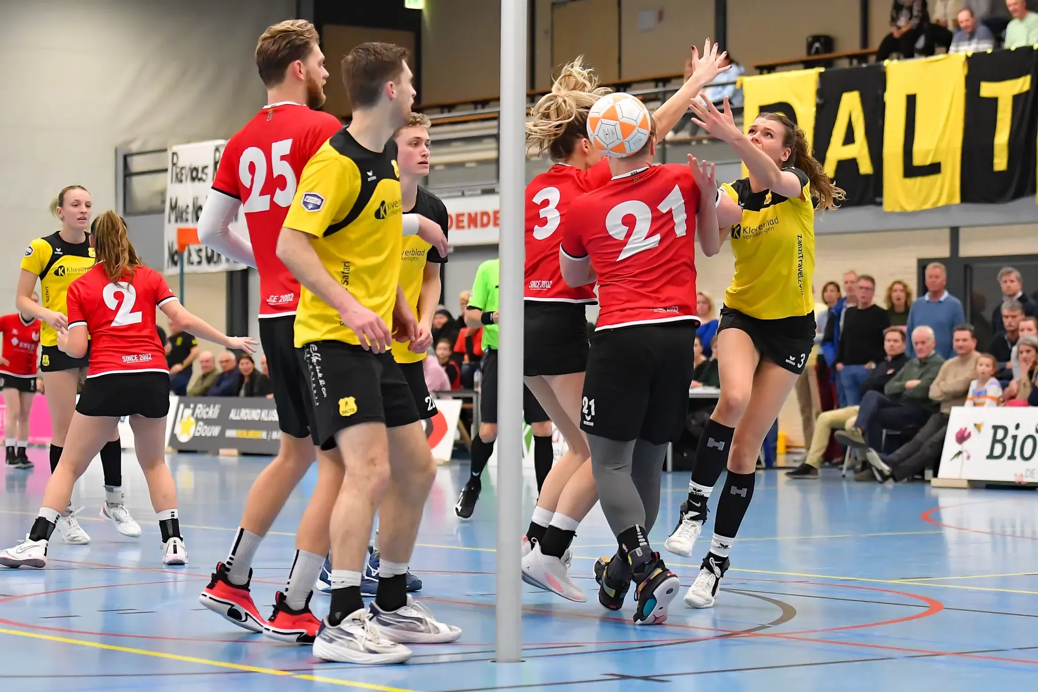 Dalto Dsc Website 17