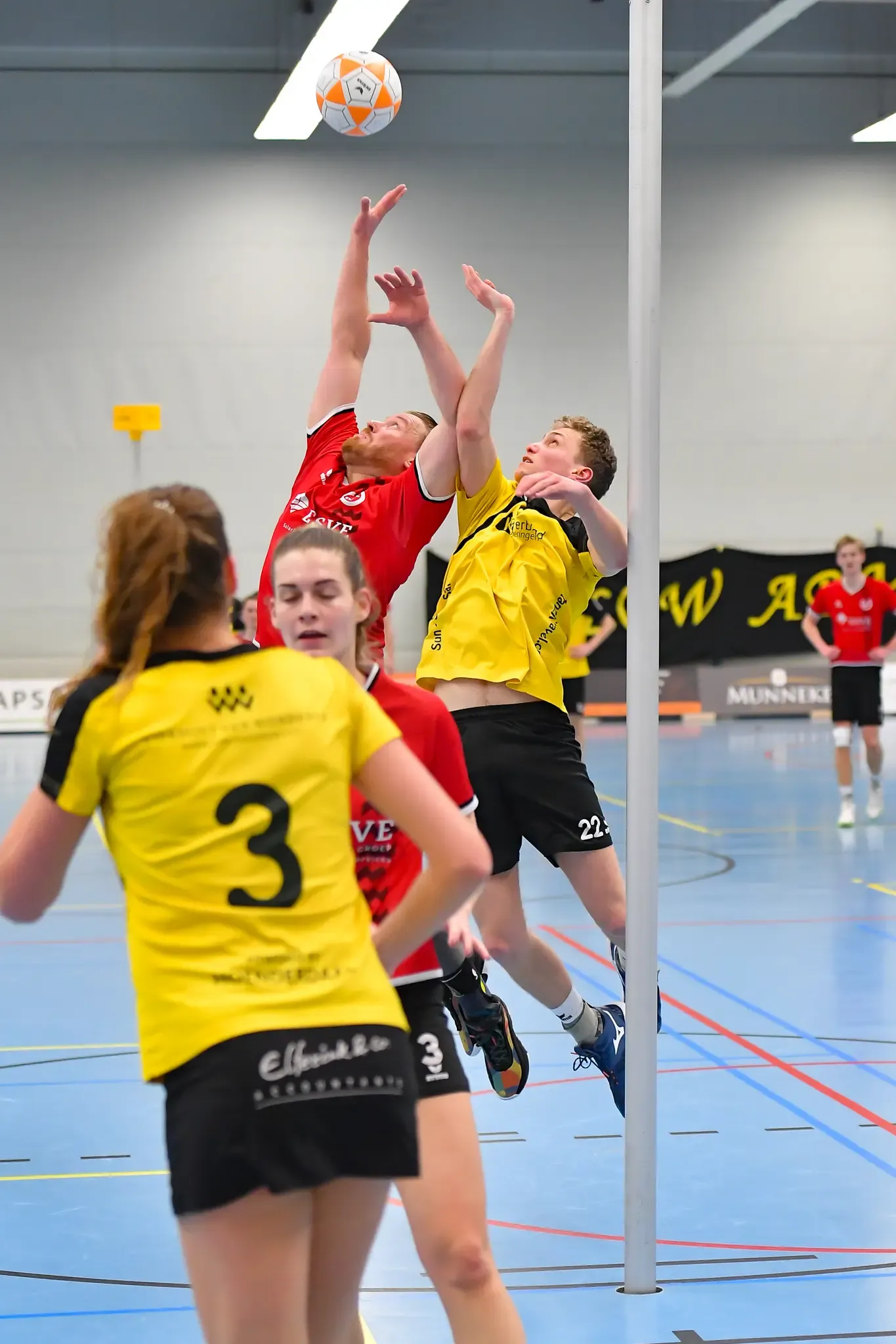 Dalto Dsc Website 18