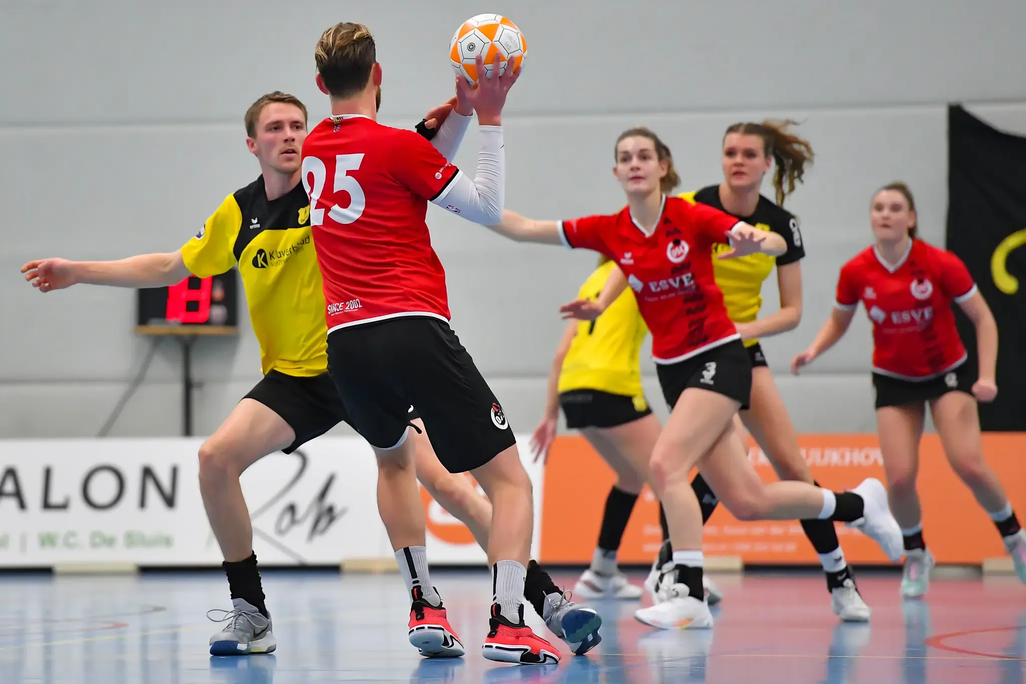 Dalto Dsc Website 19