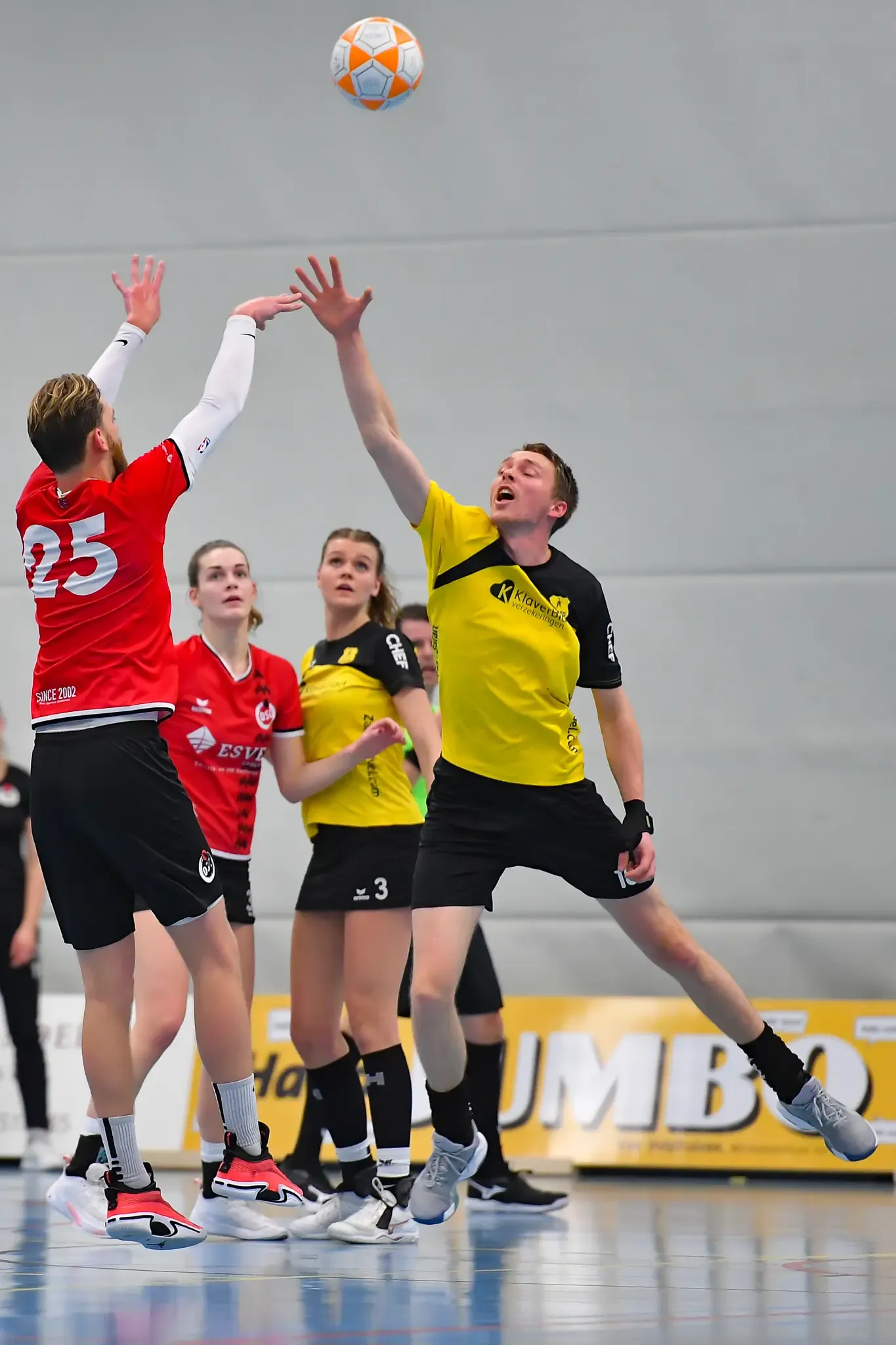 Dalto Dsc Website 21