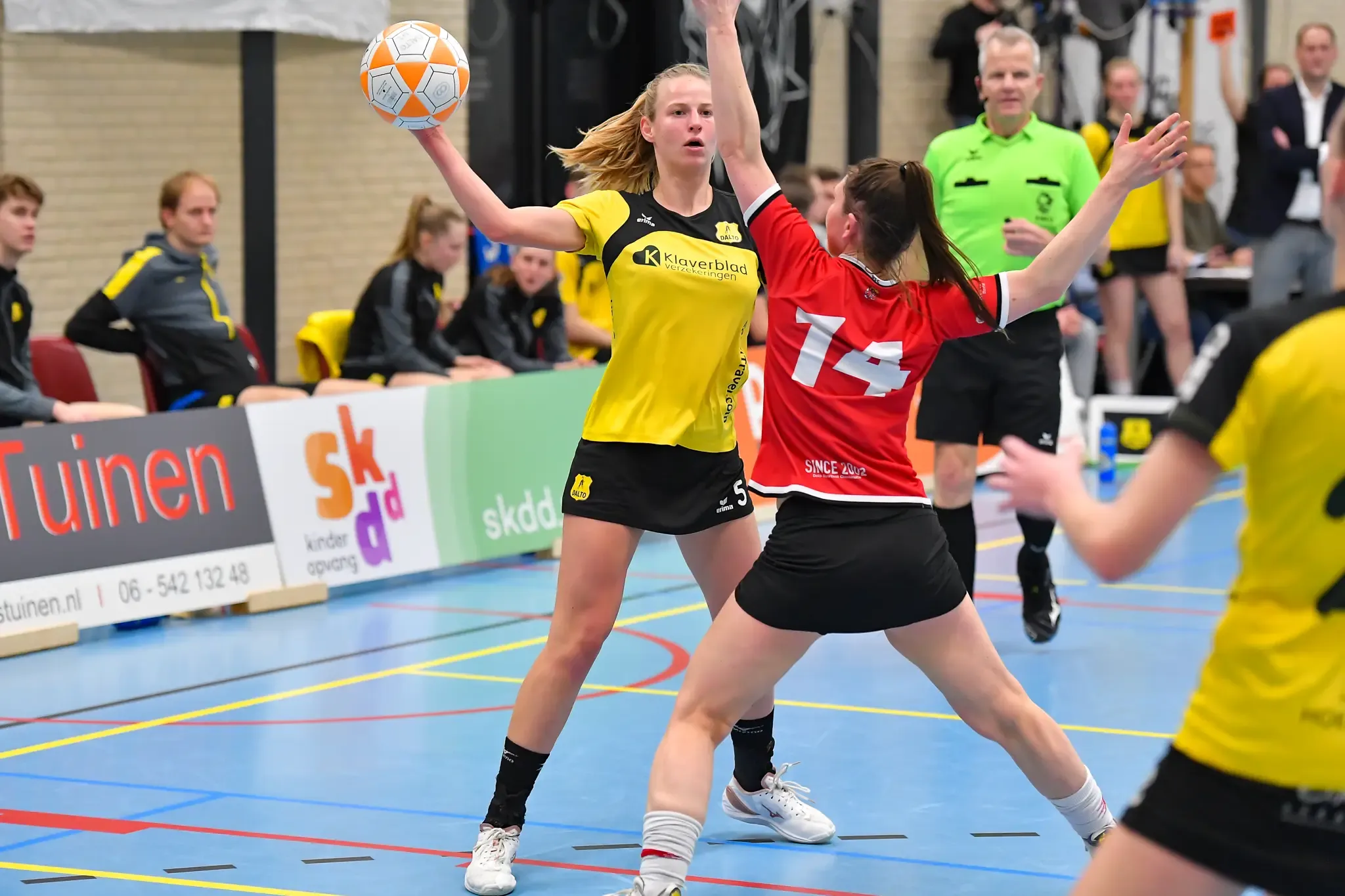 Dalto Dsc Website 28