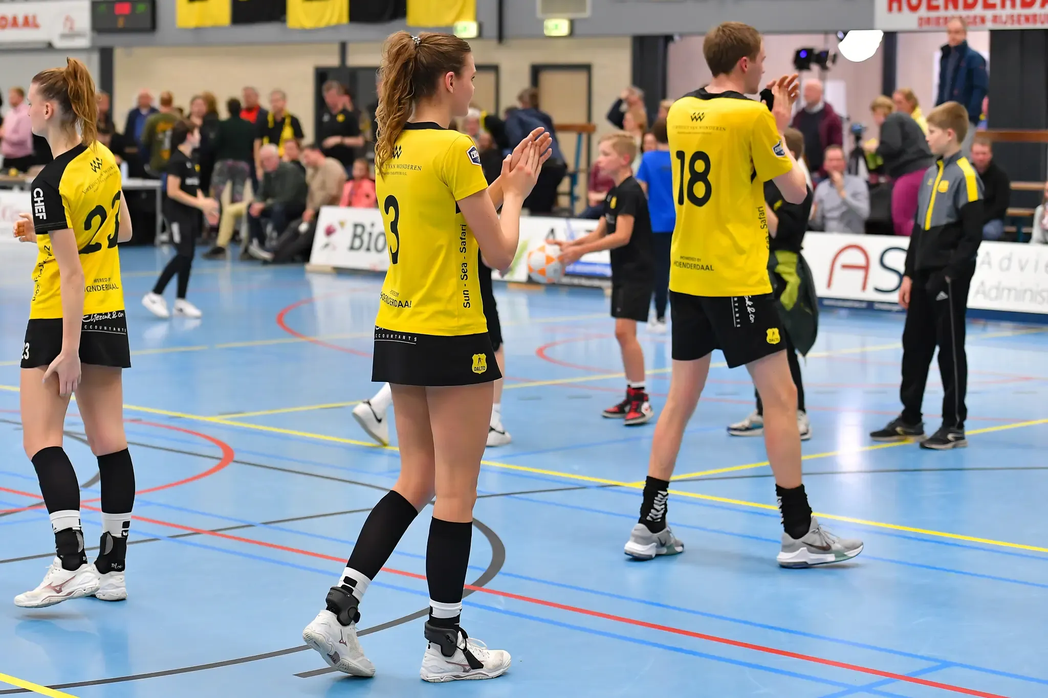 Dalto Dsc Website 33