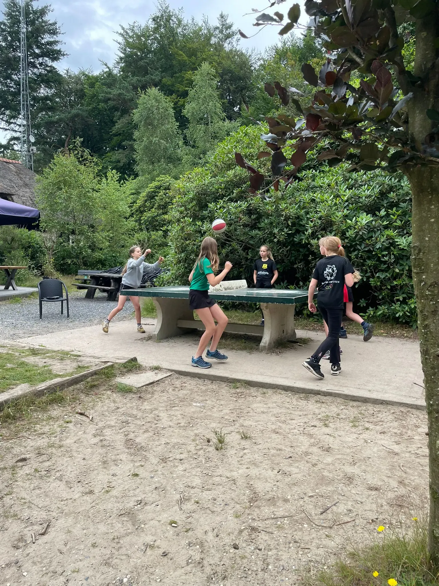 PHOTO 2024 07 27 15 16 53