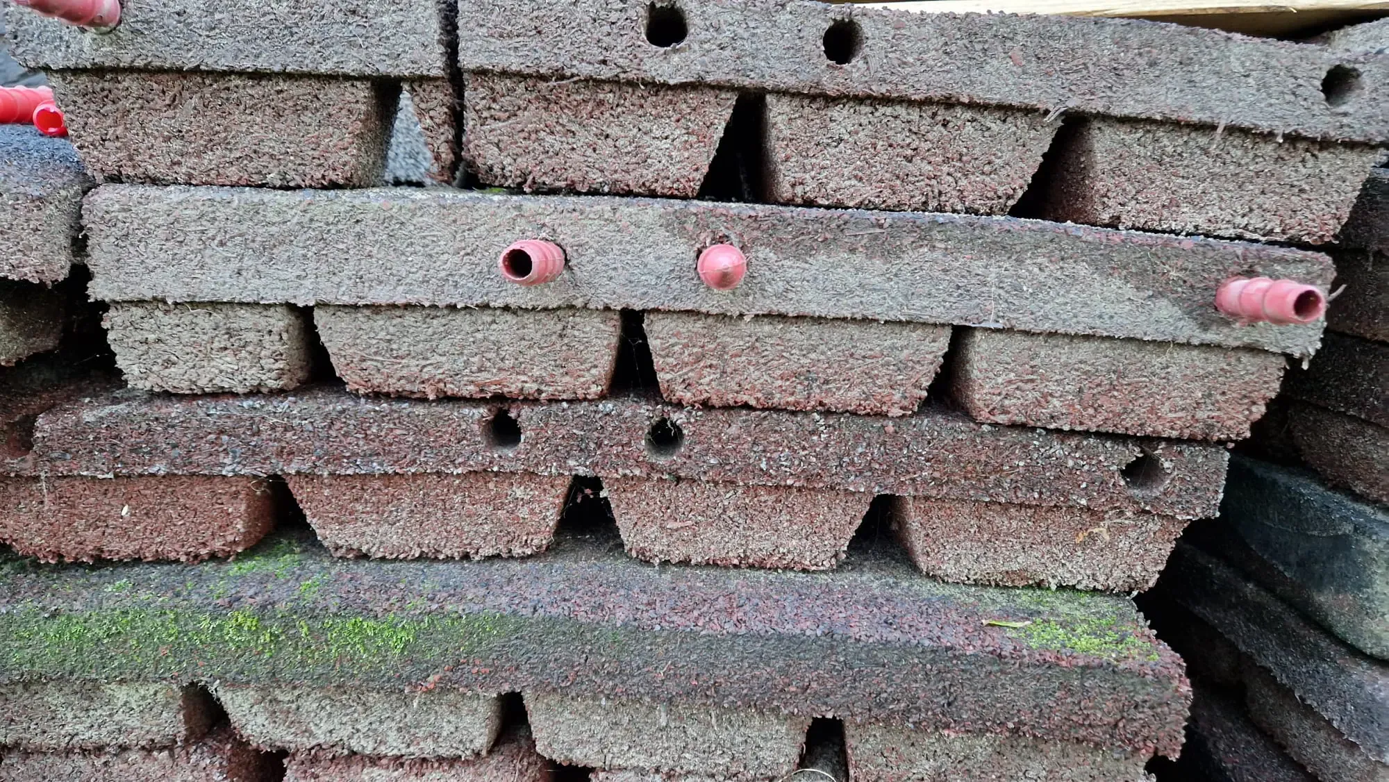 Afbeelding van WhatsApp op 2024 10 04 om 19.43.25 1a053633 - Dalto/Klaverblad Verzekeringen - Korfbal - Driebergen