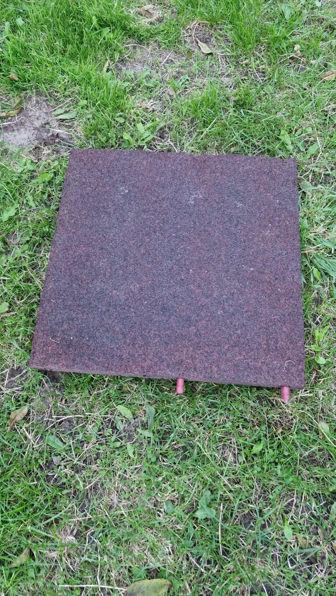 Afbeelding van WhatsApp op 2024 10 04 om 19.43.25 2916bc79 - Dalto/Klaverblad Verzekeringen - Korfbal - Driebergen