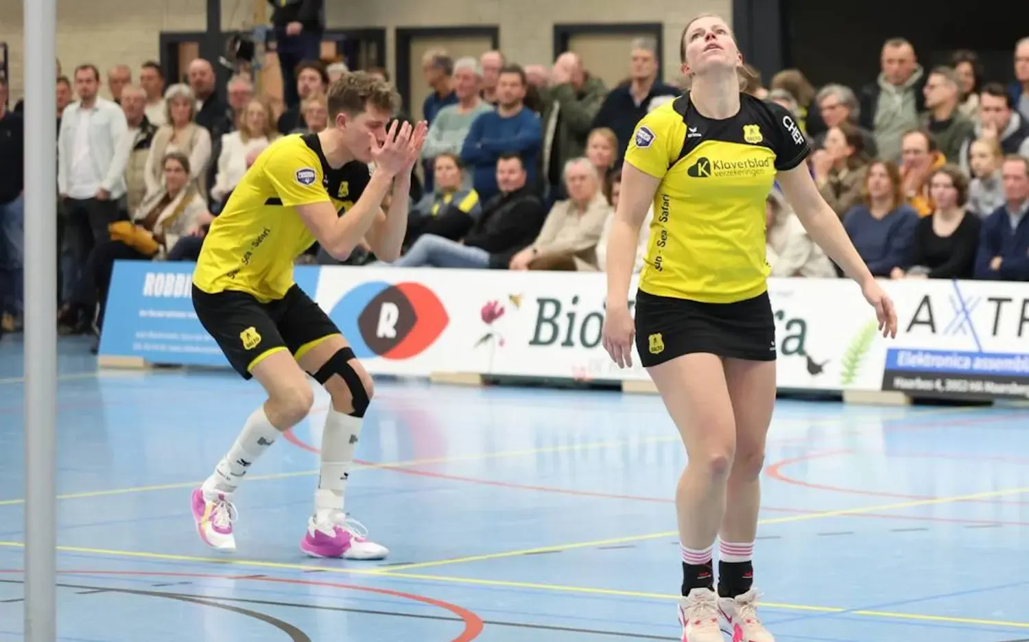 20250113 AD Dalto TOP - Dalto/Klaverblad Verzekeringen - Korfbal - Driebergen