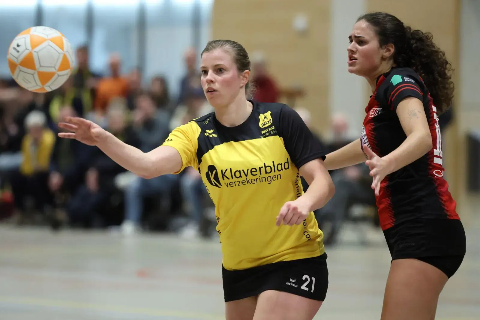 PHOTO 2025 02 03 10 38 57(3)